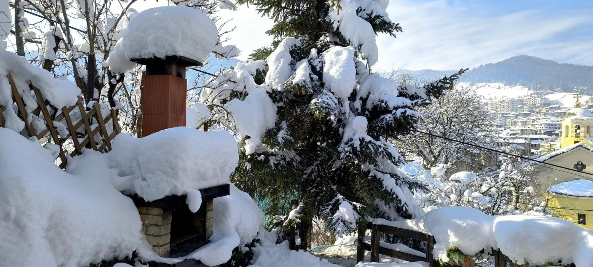 Chepelare Holiday Guest House المظهر الخارجي الصورة